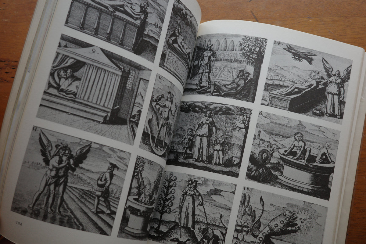 The Secret Art ALCHEMY / Stanislas Klossowski de Rola