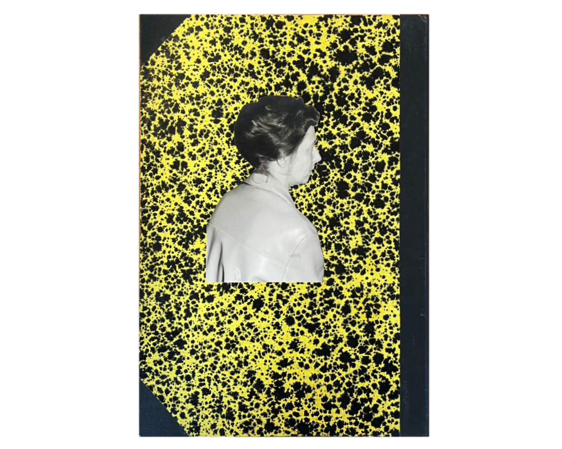 DIY Collages binder